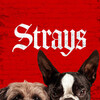 Strays [2023] / H264 / MKV / Blu-ray / 1080p / DTS / Subs thumb