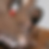 [Meanbitches.com / MeanWorld.com] Sara Jay,Chanel Preston,Sativa Rose,Karen Fisher and others /   !!! 38  (19.02.2016)*HD (MBIT) [2016 ., slave, humilation, femdom, cuckold,big ass,720p, SiteRip] thumb
