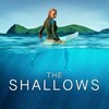 The Shallows 2016 UHD BluRay 1080p DD+Atmos 5 1 DoVi HDR10 x265-SM737 thumb