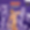 [Germangoogirls.com] (JTPron) Jenny Smart Model im Spermafieber [2015 ., Blowjob, Bukkake, All Sex, DVDRip] thumb