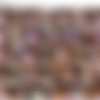 [Nudolls.com] - 2011 - 03 -  - [11 Video 960x520 + 11  + ] thumb