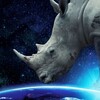 Why On Earth [2022] / H264 / MKV / Blu-ray / 1080p / AC3 / Subs thumb