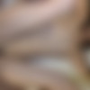 [FC2.com] Amateur Girl [491887] [uncen] [2017, Japan, Amateur, Nice, Small Tits, Toys, Oral, Doggy, Straight, Cowgirl, Creampie, SiteRip] [720p] thumb