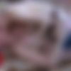 [FERRONETWORK.com / GuysForMatures.com] / Amelia B, Claudius / g861 / 27.09.2012 [2012 ., All sex, Oral, Masturbation, Mature, SiteRip, 720p] thumb
