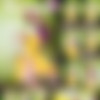 [ShowyBeauty.com] 2018-05-26 Lulya - Spring Mood [Erotic] [3744x5616, 97] thumb