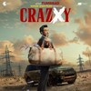 Crazxy 2025 1080p WEB H264-SKYFiRE thumb