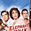 Elephant Walk [1954] / H264 / MKV / Blu-ray / 1080p / FLAC / Subs thumb