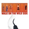 Walk on the Wild Side [1962] / H264 / MKV / WEB / 1080p / AC3 / Subs / SbR thumb