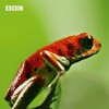 Attenboroughs Life in Colour S01 2021 1080p Bluray FLAC 2 0 x264-c0kE thumb