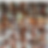 asstitans.com full siterip 2008-2010 [62 scenes+picset] thumbnail
