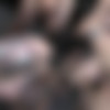 [SplatBukkake.com / UKxxxPass.com] Tallulah Thorne - More bukkake facials for lusty Tallulah (SB 144) (29.07.2021) [2021, Bukkake, Brunette, MILF, Big Tits, Tattoo, Blowjob, Handjob, Tits Job, Deep Throat, Cumshot, Facial, 1080p] thumb