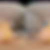 [VRAllure.com] Angelina Moon - Net Down Cock Up [07.01.2025, Asian, Brunette, Close Ups, Fingering, Garter Belt, Long Hair, Magic Wand, Masturbation, no Male, Petite, Pov Kissing, Shaved Pussy, Slim, Small Tits, Solo Models, Tommy Torso, Virtual Reality, SideBySide, 8K, 4096p, SiteRip] [Oculus Rift / Quest 2 / Vive] thumb
