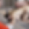 [SexyCuckold.com] Isadora - Nurse Cuckold Anal [19.06.2021, All Sex, Hardcore, Blowjob, Anal, Facial, Milf, Hairy Pussy, Natural Tits, 2160p] thumb