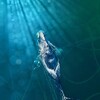 Entangled [2020] / H264 / MKV / Blu-ray / 1080p / DTS / Subs thumb