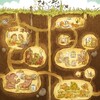 Burrow [2024] / H265 / MKV / WEB / 2160p / AC3 / Subs thumb