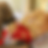 [Art-Lingerie.com]  2014-05 (7 ) [Solo, Lingerie, Erotic, 720p] thumb