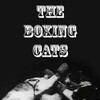 The Boxing Cats [1894] / H264 / MKV / DVD / SD / AC3 / HANDJOB thumb