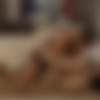 Group Texting Group Sexing /     (Penthouse) [2016 ., Blowjob, Cumshot, Cunnilingus, Facial, Orgy, VOD, 1080p] (Split Scenes) (Adriana Chechik, AJ Applegate, Ashlyn Molloy, Chanel Preston, Karla Kush, Lea Lexis, Lexi Belle, Marica Hase, Penny Pax, Sarah Shevon) thumb