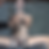 [InfernalRestraints.com] March 9, 2012 | Fixated 2 | Sister Dee [2012 ., BDSM, Bondage, Canning, Torture, Humiliation, HDRip 720p, SiteRip, AVC] thumb
