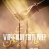 Where Olive Trees Weep [2024] / H264 / MKV / WEB / 1080p / Opus / Subs / WiTCHCRAFT thumb