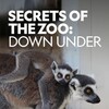 Secrets of the Zoo Down Under (2020) S01 (1080p DSNP WEB-DL H264 SDR DDP 5 1 English - HONE) thumb