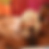 [BangBros.com] Elsa Jean | Falling In Love, One Inch At A Time [2160p] thumb
