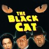 The Black Cat [1941] / H264 / MKV / Blu-ray / 1080p / DTS / Subs / FGT thumb