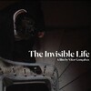 The Invisible Life [2013] / H264 / MKV / DVD / SD / AAC / Portuguese / Subs / Scene / RedBlade thumb