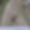 [MetArtX.com] Foxy Alissa (Yoga 2) [2021-12-02, Nude, Posing, Solo, Mastrubation, 2160p] thumb