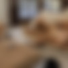Group Texting Group Sexing /     (Penthouse) [2016 ., Blowjob, Cumshot, Cunnilingus, Facial, Orgy, VOD, 720p] (Split Scenes) (Adriana Chechik, AJ Applegate, Ashlyn Molloy, Chanel Preston, Karla Kush, Lea Lexis, Lexi Belle, Marica Hase, Penny Pax, Sarah Shevon) thumb