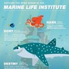 Marine Life Interviews [2016] / H264 / MKV / Blu-ray / 1080p / DTS / Subs thumb