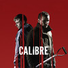 Calibre [2018] / H264 / MKV / WEB / 1080p / AC3 / Subs / NTb thumb