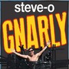 Steve-O: Gnarly [2020] / H264 / MKV / WEB / 1080p / AAC / SNAKE thumb