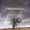 The Wild Pear Tree 2018 Untouched iso-VpR thumb