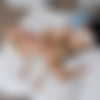 [HotAndMean.com] [22.04.20] Nickey Huntsman And Serene Siren - Nosy Stepmom Gets Fucked [1080p] thumb
