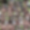 [21EroticAnal.com / 21Naturals.com] Anita Bellini (Benchwarmers / 08.07.17.) [2017 ., Gonzo, Anal, 720p] thumb