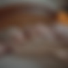 [Hegre.com] 2018-12-18 Elizabeth - A Day In The Life Of Elizabeth [Solo, Posing] [1080p] thumb