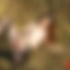Angela Kiss (20 ) Pack [2015-2016, Straight, Oral, Group, Solo, Anal] thumb