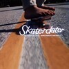 Skaterdater [1966] / H264 / MKV / DVD / SD / AC3 thumb