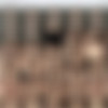 UraBukkake.com Mini Pack thumb
