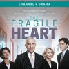 The Fragile Heart S01 WEB-DL DDP2 0 H 264-squalor thumb