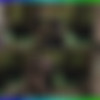 Riley Reid - [ReidMyLips.com] - Money Hungry (29.08.19) - 720p thumb