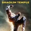 Shaolin Temple 1982 JPN Remastered 1080p BluRay Remux AVC DTS-HD MA 5 1-FiSHMuX thumb