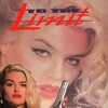 To the Limit [1995] / H264 / MKV / Blu-ray / 1080p / AAC / Subs / HANDJOB thumb