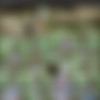 [ShowyBeauty.com] 2016-08-17 Gloria - Forest Walk [Solo] [1080p] thumb