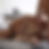 [SexyHub.com / DaneJones.com] Arteya - Romantic fuck with Russian beauty [2019.09.30, All Sex, Cum Shot, Facial, Blowjob, Deep Throat, Pussy Licking, Bedroom, Indoors, Gonzo, Cowgirl, Doggystyle, Missionary, Blonde, 1080p] thumb
