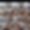 Bellesahouse mega pack 2 1080p thumb
