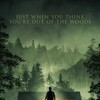 Stranger in the Woods 2024 1080p AMZN WEB-DL AC3 H 264-Koza thumb