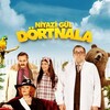 Niyazi Gül Dörtnala [2015] / H264 / MKV / WEB / 1080p / AC3 / Turkish / Subs / SymBiOTes thumb