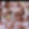 vixen pack 3 1080p 2016 thumb
